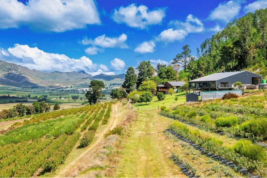 4 Bedroom Property for Sale in George Rural Western Cape